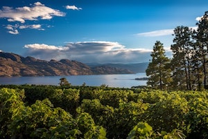 West Kelowna BC Houses for Sale