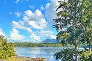 Water's Edge Shoreside Suites | Ucluelet