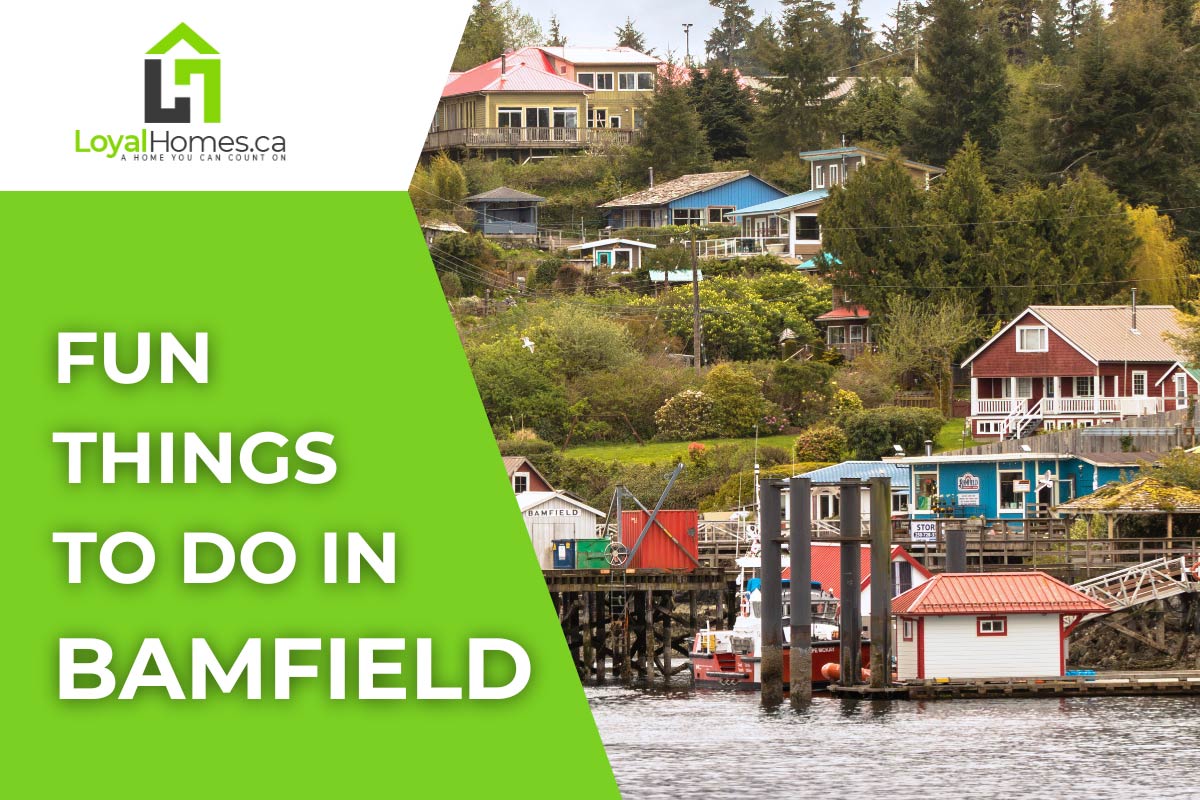 15 Things to Do in Bamfield, BC: Your Bamfield Travel Guide