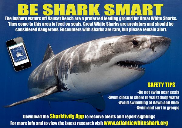 be shark smart