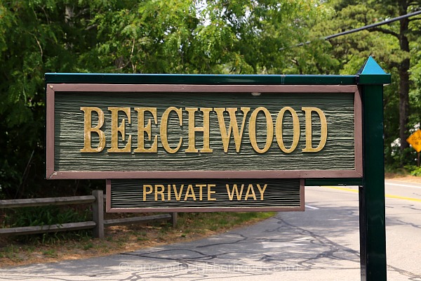 Beechwood Brewster