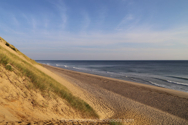 Cape Cod Beach Neighborhoods