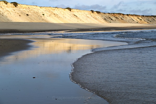 shoreline and dunes at marconi beach in wellfleet