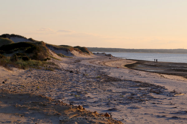 Chapin Beach Dennis