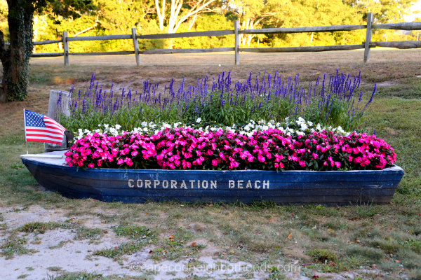 Corporation Beach Dennis