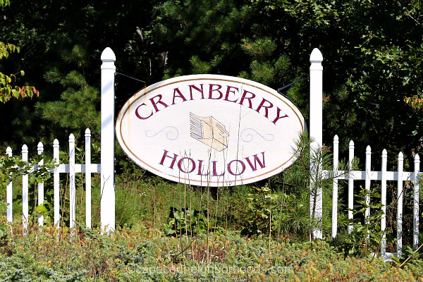 Cranberry Hollow Harwich