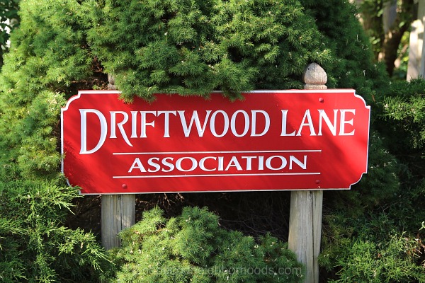 Driftwood Lane Orleans
