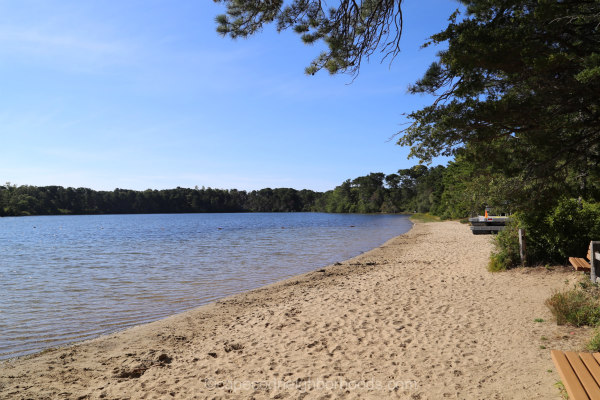 Eastham Pond Homes