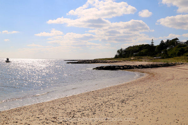 Explore the Charm of Forest Beach, Chatham, MA: A Hidden Gem for Travelers