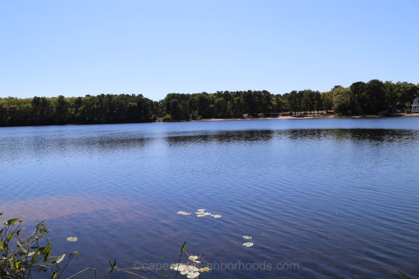 Harwich Pond Homes