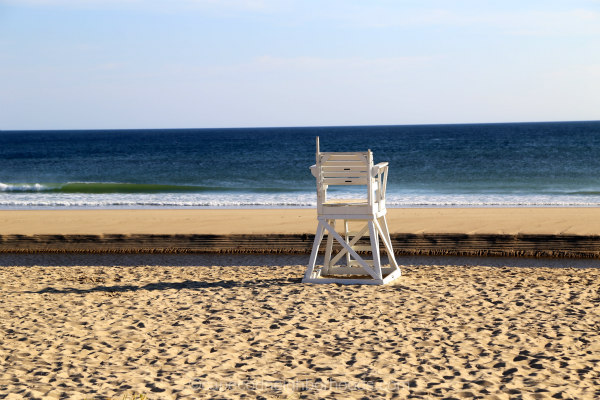 are dogs allowed at cape cod national seashore