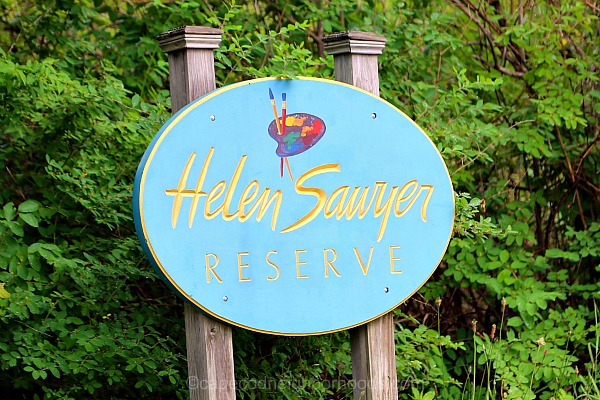 Helen Sawyer Reserve Truro