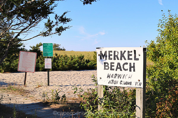 Merkel Beach Harwich