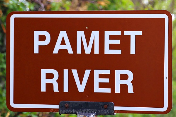 Pamet River Truro