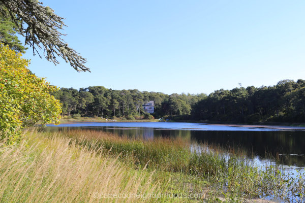 Pickerel Pond Chatham