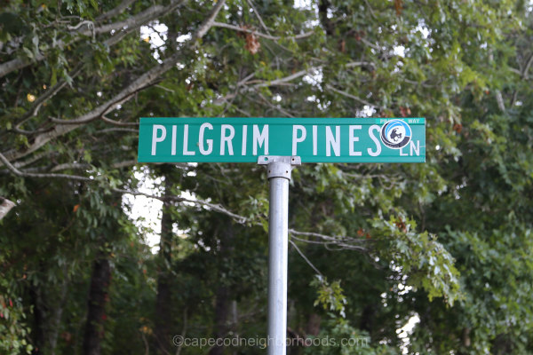 Pilgrim Pines Brewster