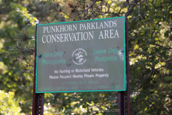 Punkhorns Parklands Brewster
