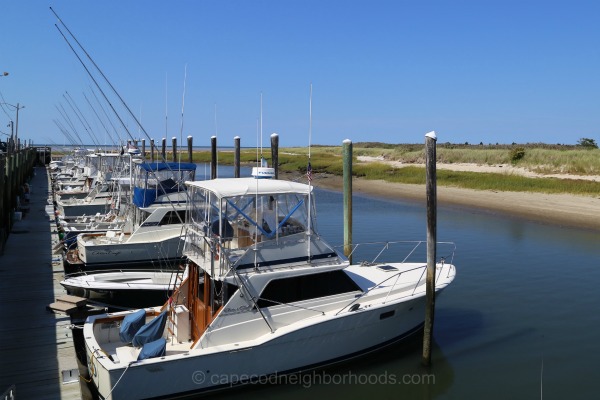 Cape Cod Bay Fishing Charters, from Rock Harbor