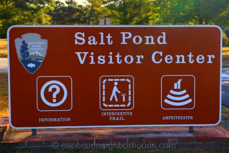 Salt Pond Eastham