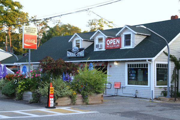 Exploring South Wellfleet