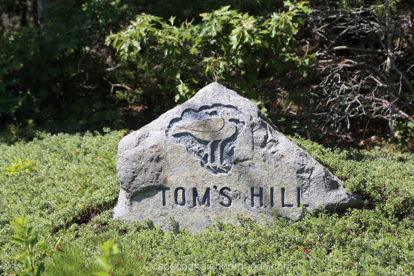 Toms Hill Truro