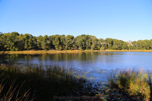 Trout Pond Chatham