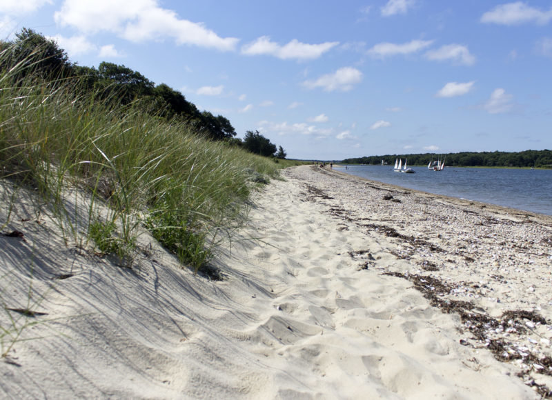 Surf Casting at West Island - Buzzards Bay Coalition