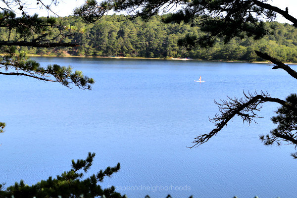 The Innermost Waters: Fishing Cape Cod's Ponds & Lakes: Budryk