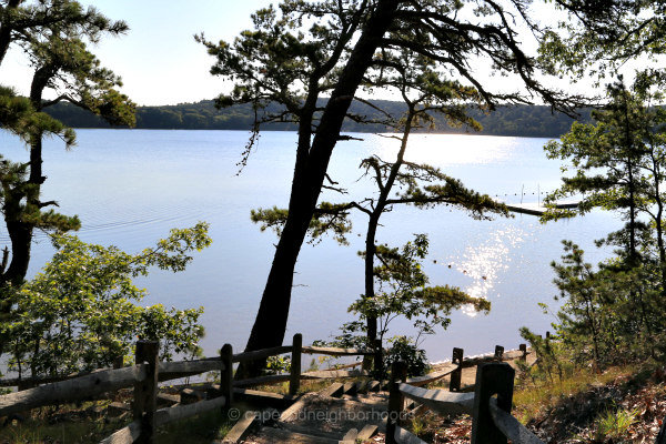 gull pond - wellfleet ma