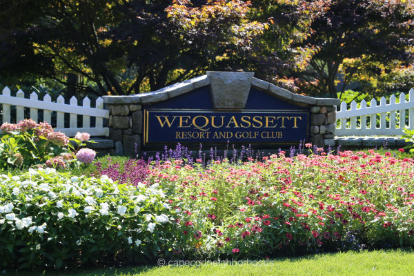 wequassett resort & golf club - harwich