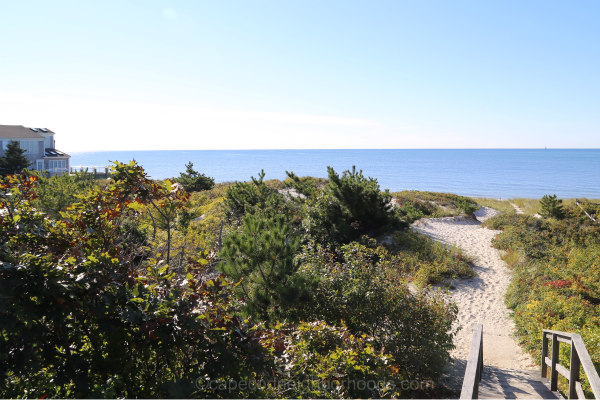 cape cod homes with acreage