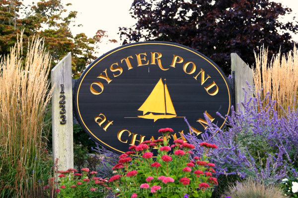oyster pond at chatham
