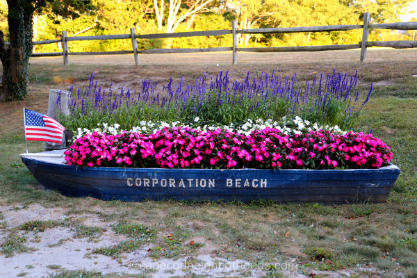 corporation beach - dennis ma