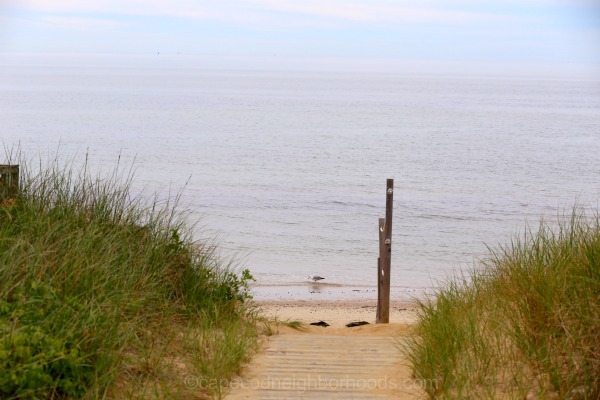 depot street beach - dennis ma