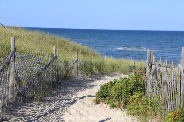 ryder beach truro ma