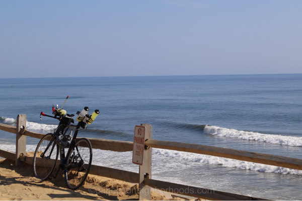 Wellfleet Beach Homes