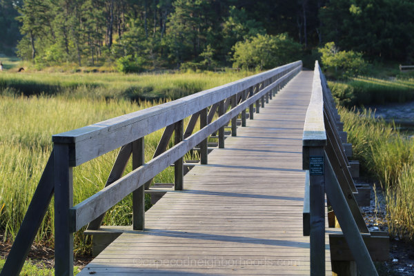 Wellfleet Condos