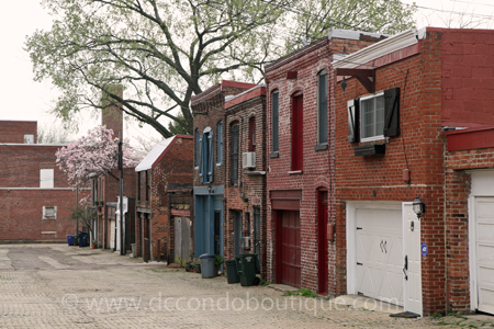 capitol_hill_alley_450