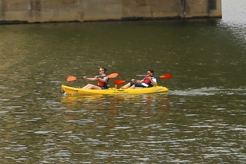kayaking in the potomac river