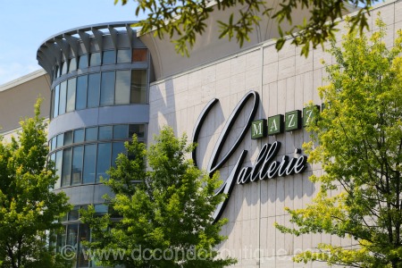 Top 10 Best Louis Vuitton Store Locations near Chevy Chase, MD 20815 -  September 2023 - Yelp