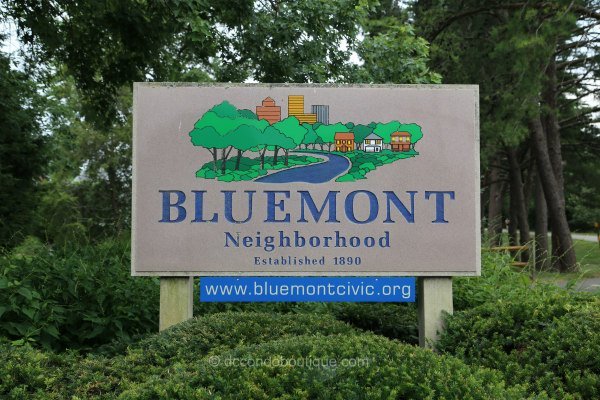 bluemont - arlington va