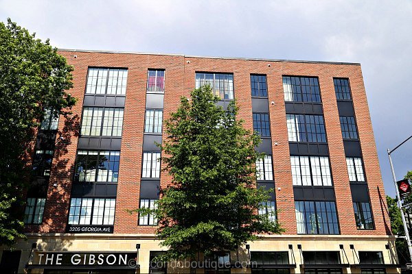 Georgia Gibson Columbia Heights DC Real Estate