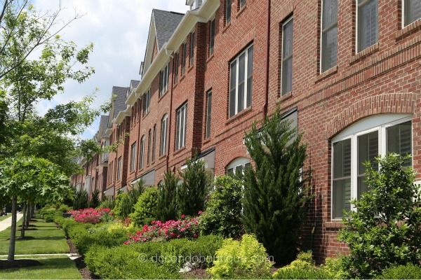 shirlington crest arlington va