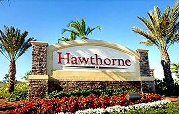 hawthorne_350