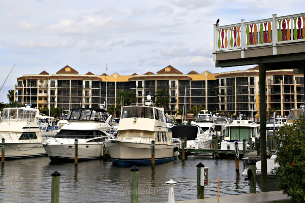 marina view at cape harbour in cape coral