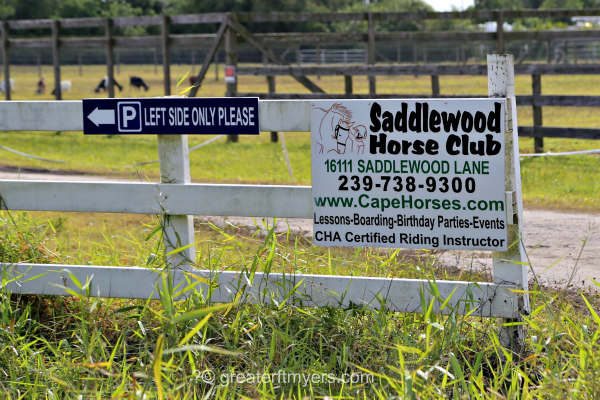 saddlewood farms cape coral