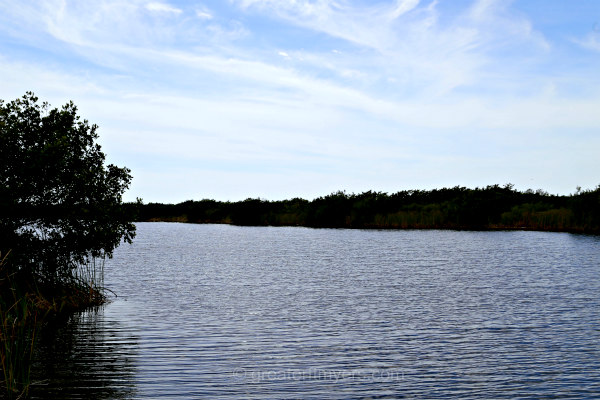 South Spreader Canal - Cape Coral Gulf Access Homes - Waterfront Real ...