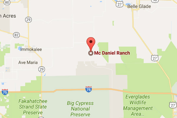 mcdaniel ranch