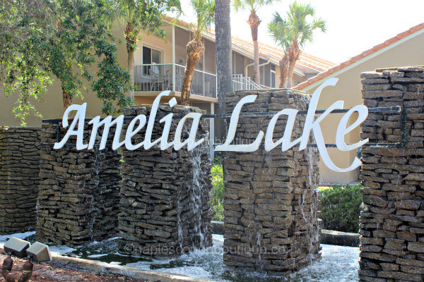 amelia lake at falling waters - naples fl