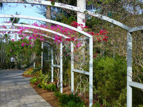 naples botanical gardens - bayshore arts district